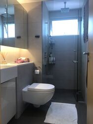 Eight Riversuites (D12), Condominium #437853481